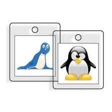 Personal Touch Photo Markers: Penguin