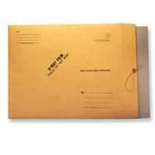 Mailer with Chipboard, 15 x 18, string & button