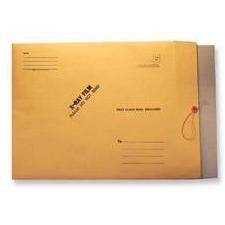 Mailer with Chipboard, 11 x 13, string & button - Click Image to Close