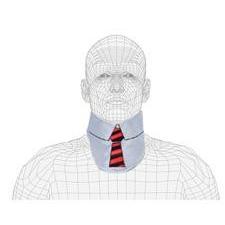 Thyroid Fun Collar: Necktie - Click Image to Close