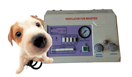 Vet Ventilator - Click Image to Close