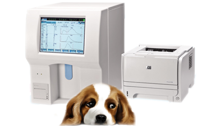 Vet Fully Auto Hematology Analyzer Vet Fully Auto Hematology Analyzer