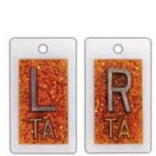 Personal Touch Glitter Markers: Orange
