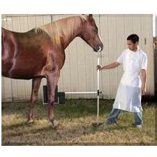 Equine Back-Saver Cassette Holder