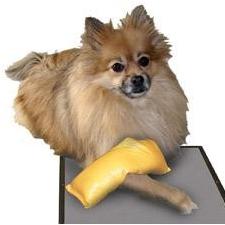 Veterinary Sandsock -5" x 15"