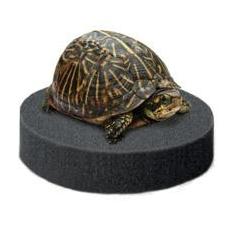Veterinary round sponge