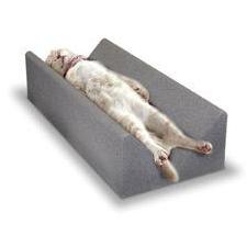 Small Vet Immobilizer