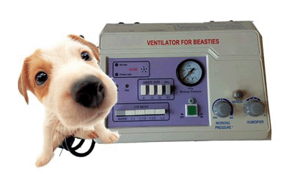 Vet Ventilator