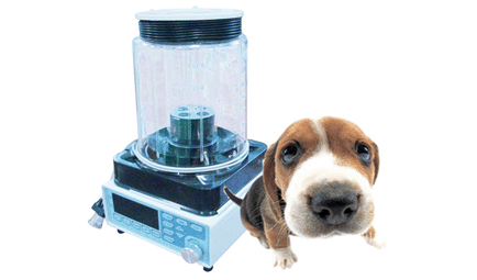 Vet Anesthesia Ventilator