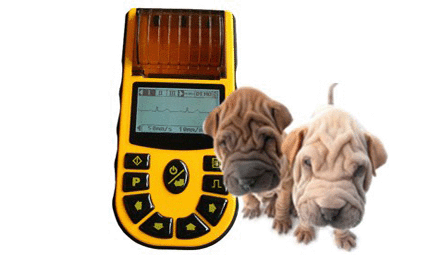 Handheld 1-channel Vet Electrocardiograph